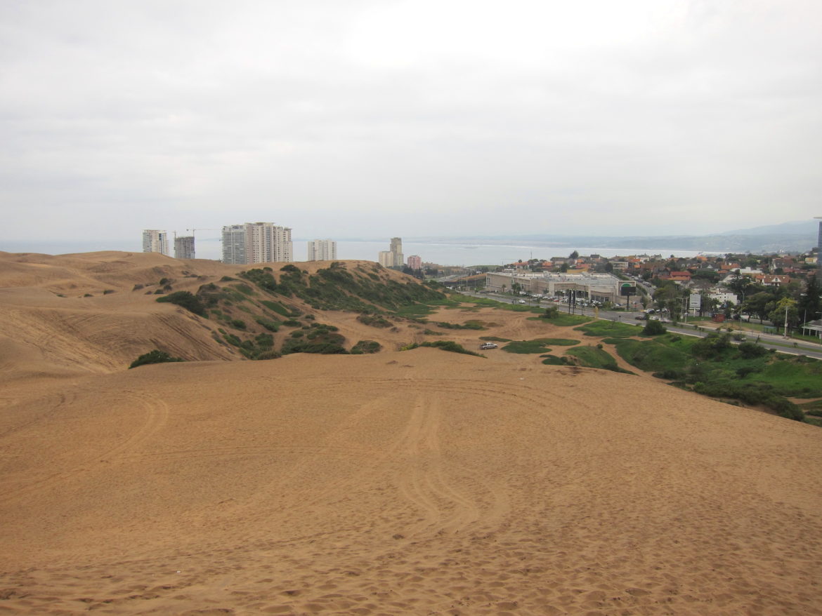 Chile Concon Sand Dunes View One Day in Concón for Sandboarding