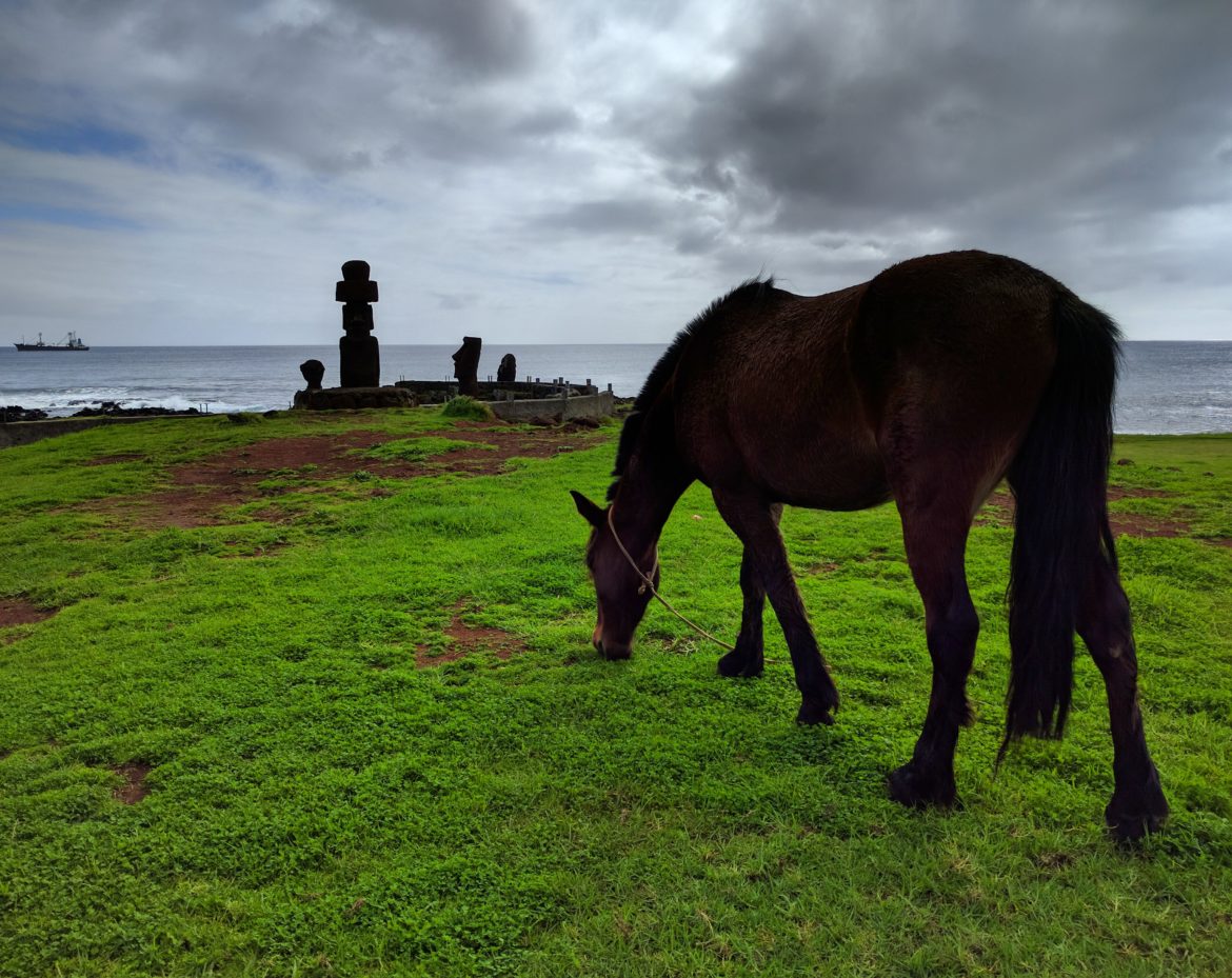 Things To Do on Easter Island