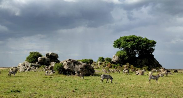 Planning Family Safari Vacation and Hike