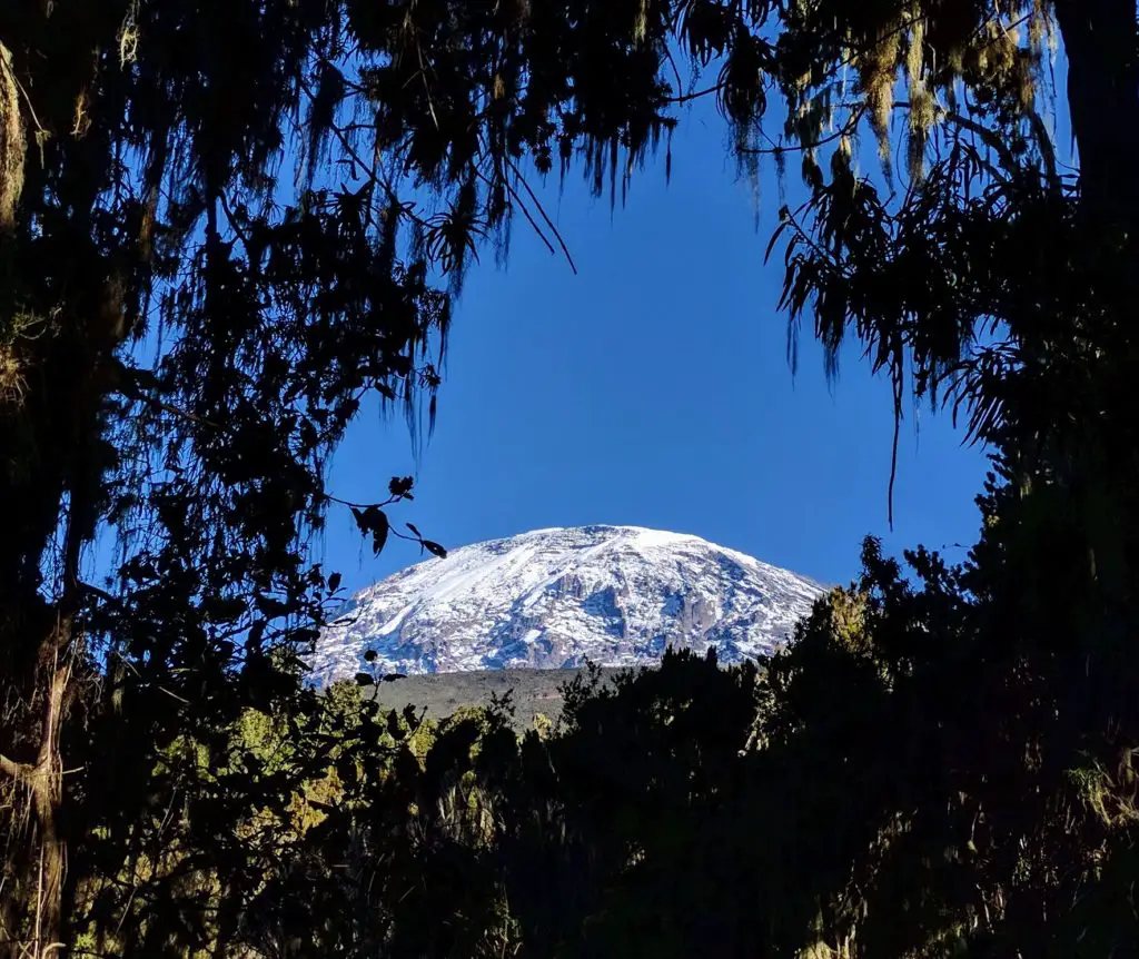 Climbing Mount Kilimanjaro Trip Report (Days 6-7)