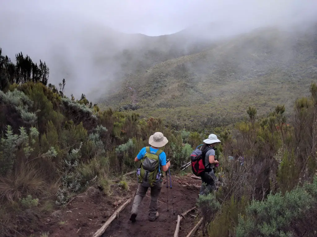 Climbing Mount Kilimanjaro Trip Report (Days 1-2) 