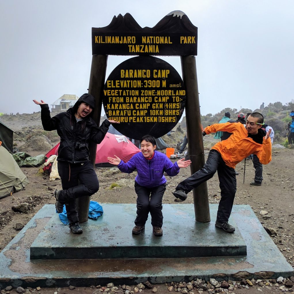 Climbing Mount Kilimanjaro Trip Report (Days 3-5) - Barranco Camp