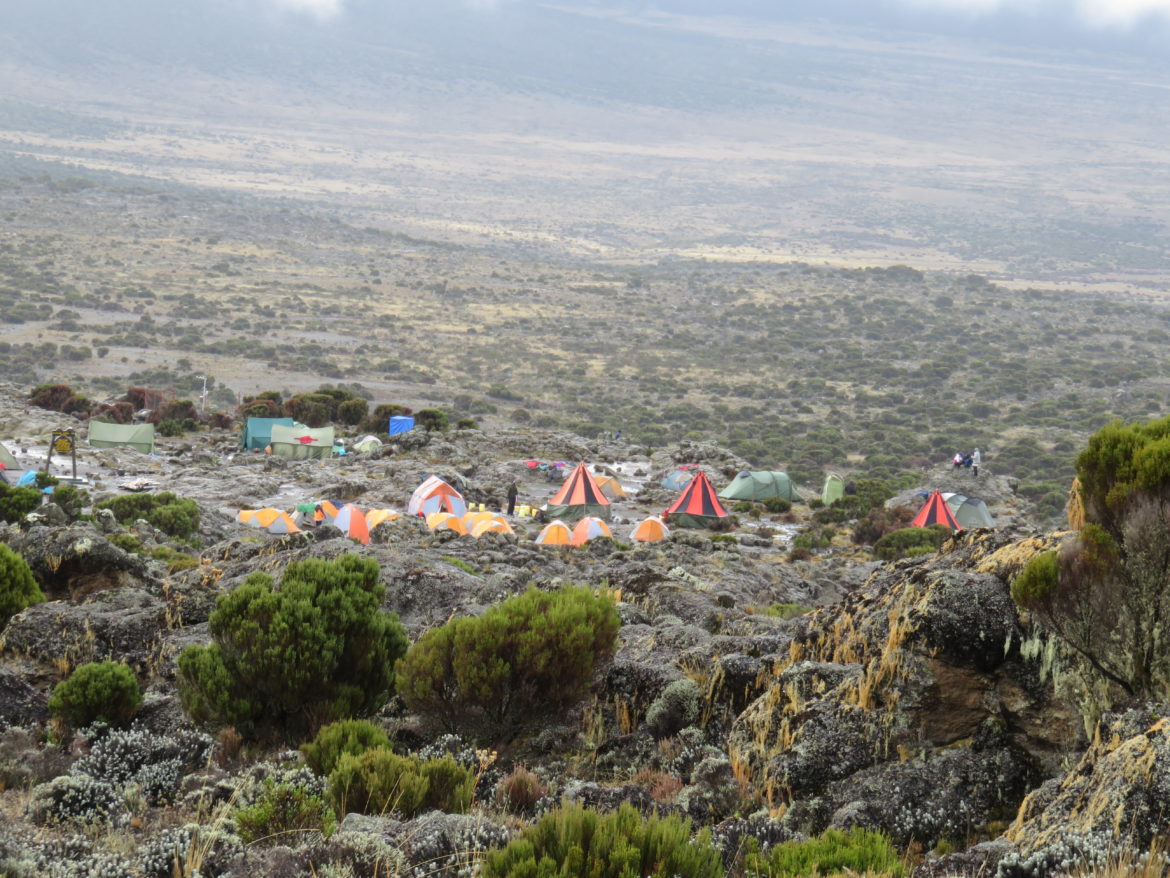 Climbing Mount Kilimanjaro Trip Report (Days 1-2) - Shira 1 Camp