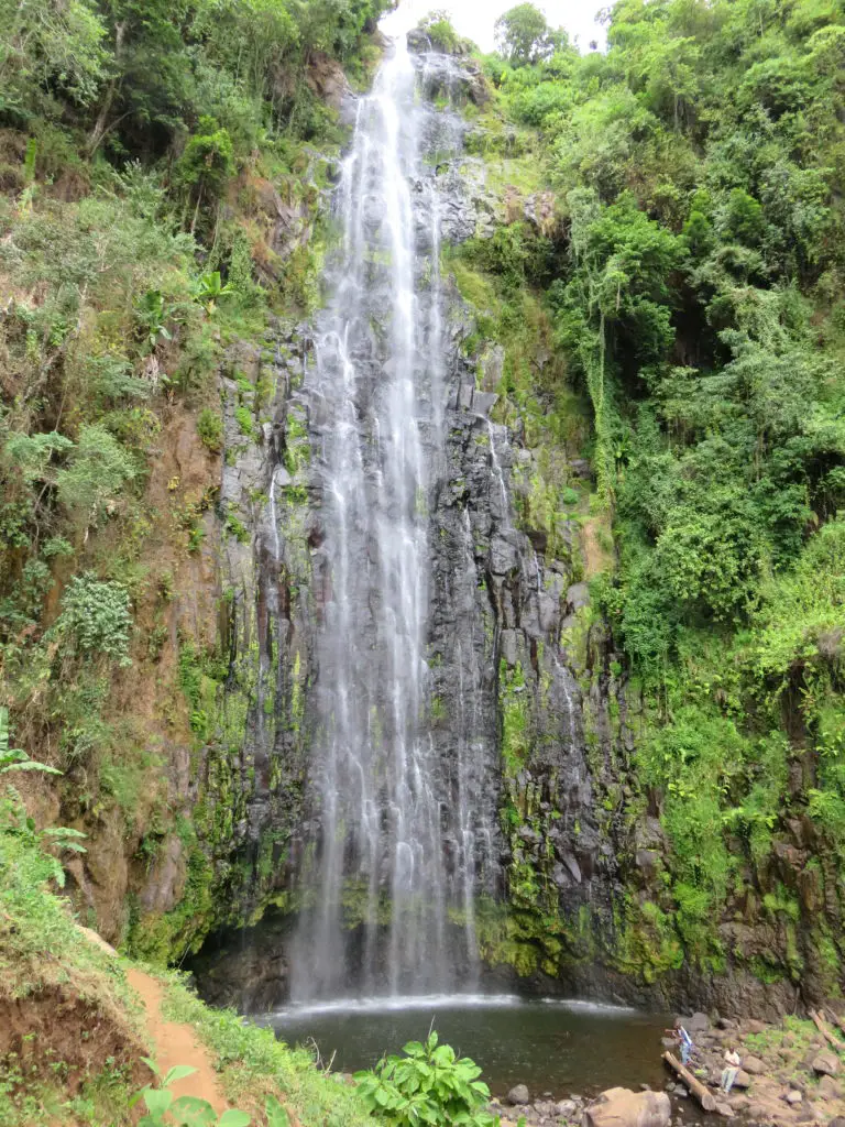 Day Trip: Coffee Tour and Materuni Waterfall in Moshi, Tanzania