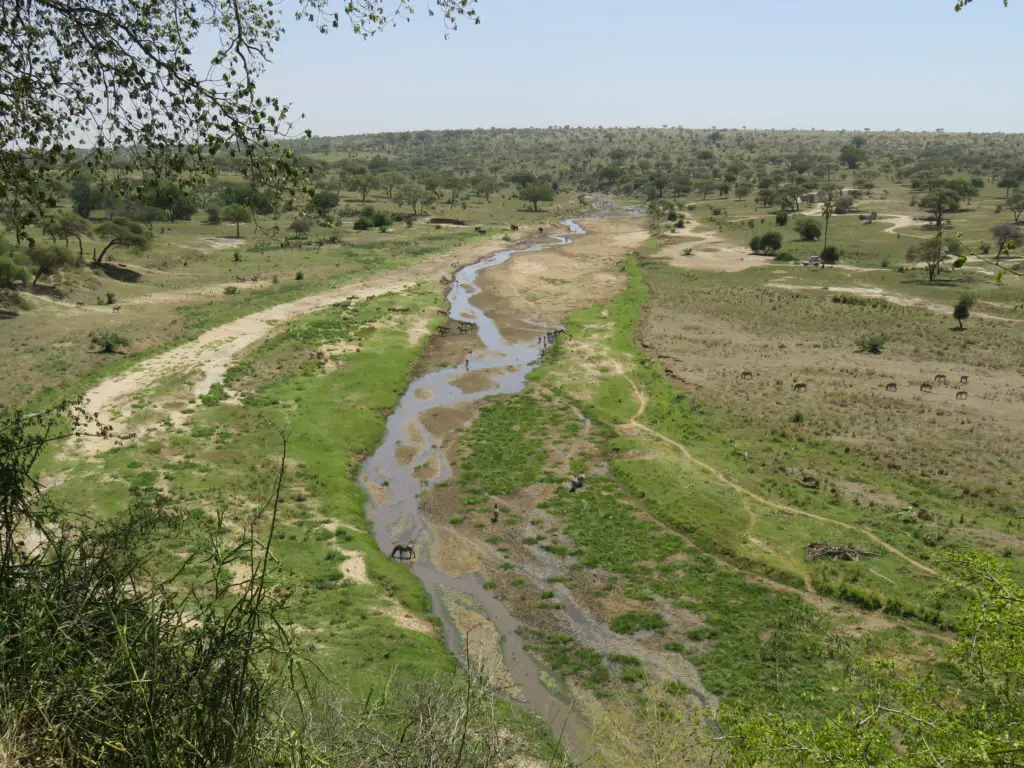 Photo Journal: Tanzania Safari in 7 Days - Tarangire National Park