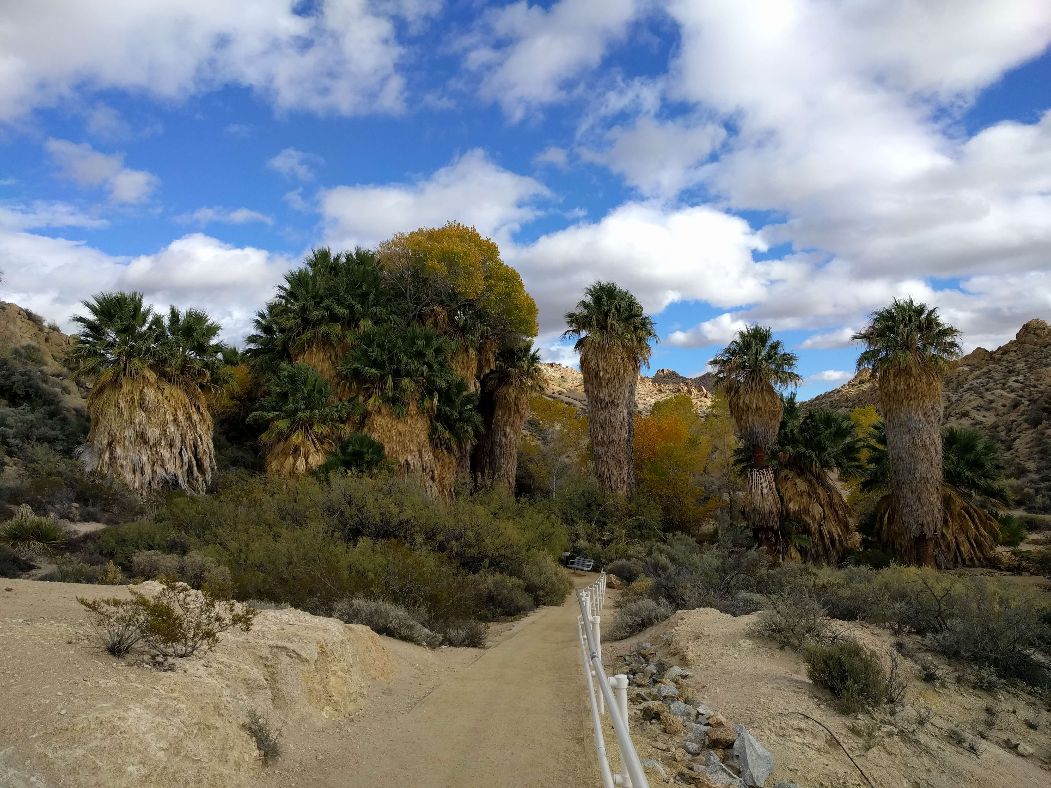 Joshua Tree National Park_Lost Palms Oasis Entrance