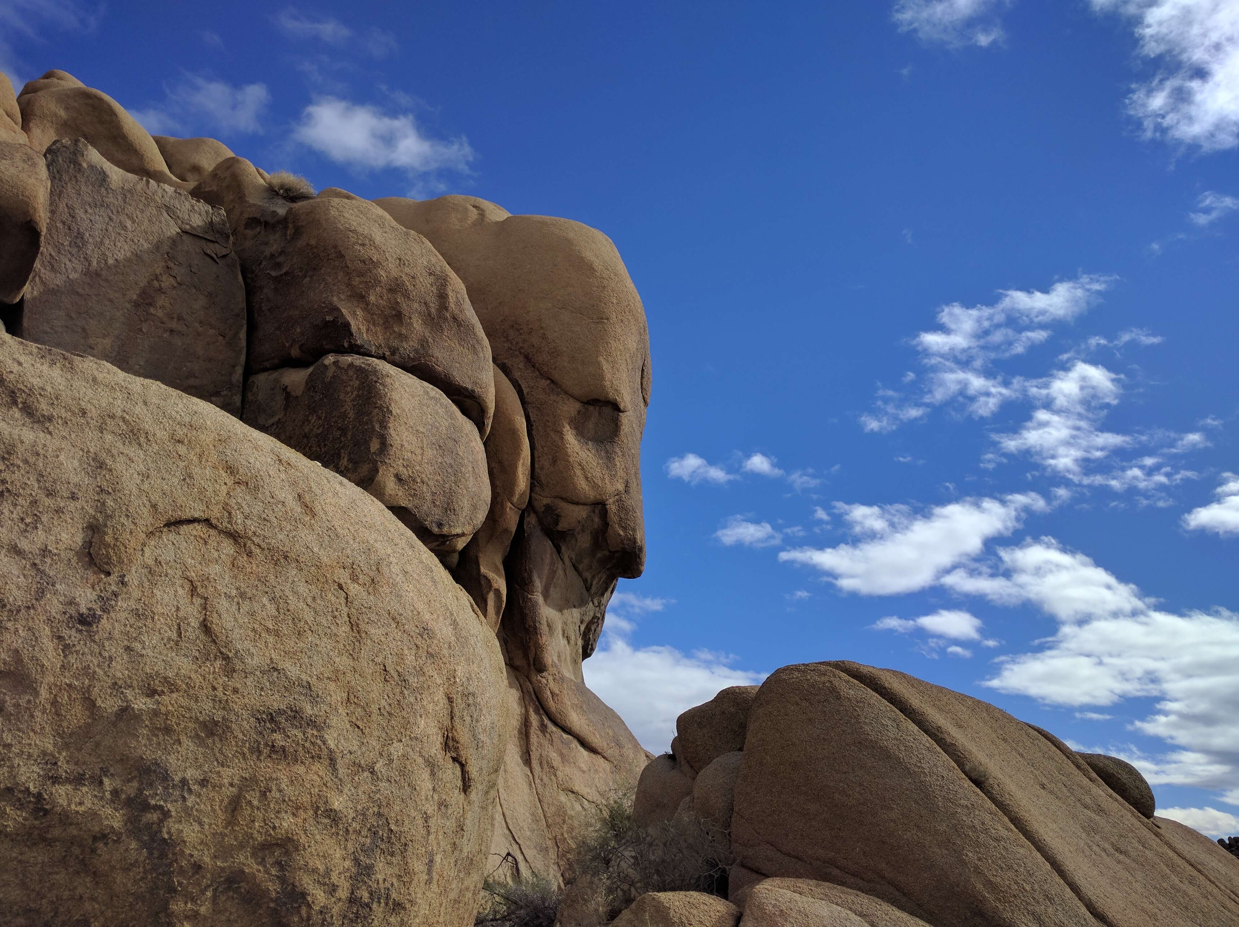 Joshua Tree National Park_Split Rock Loop Face Rock