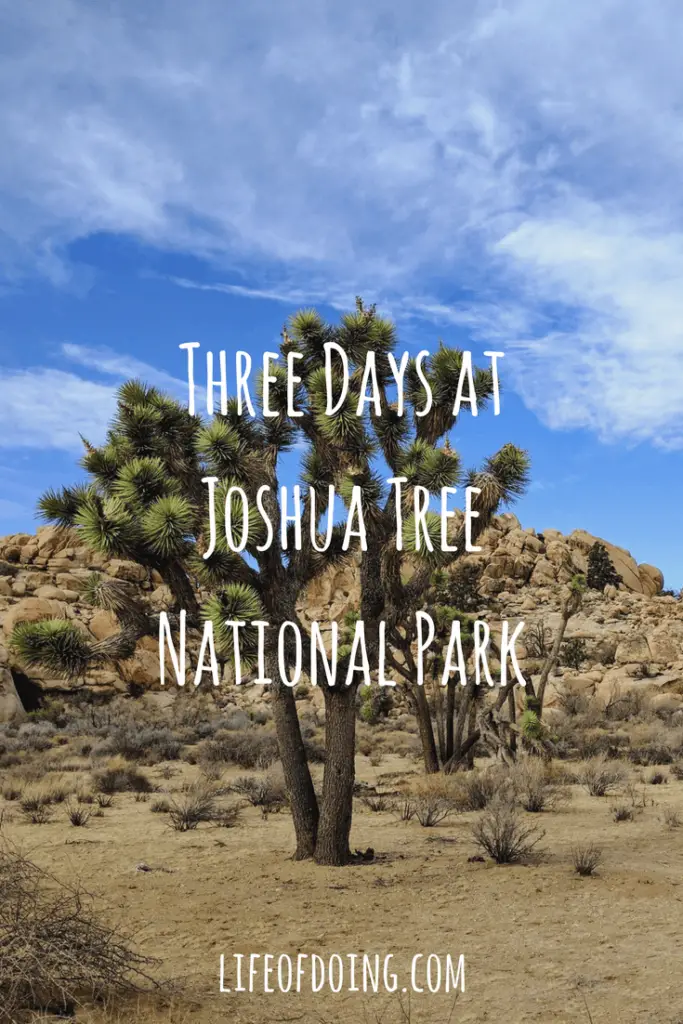 Spending 3 Amazing Days at Joshua Tree National Park