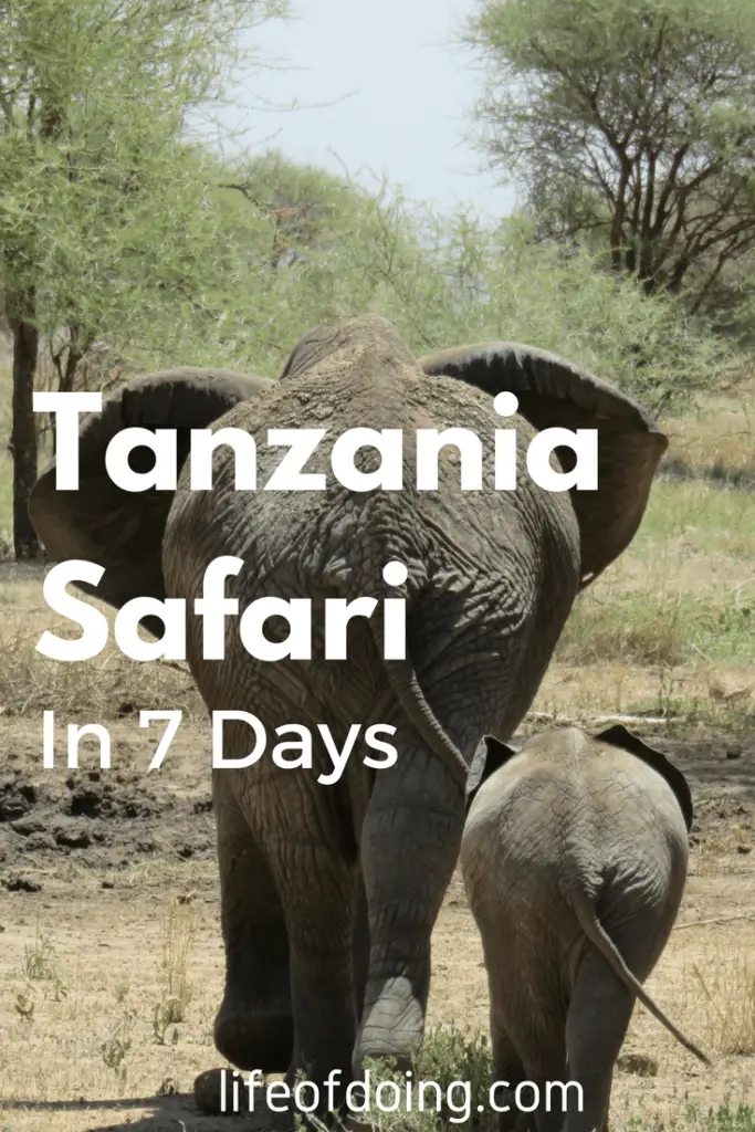 Photo Journal: Tanzania Safari in 7 Days