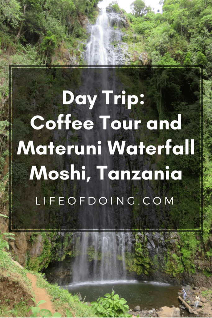 Day Trip: Coffee Tour and Materuni Waterfall in Moshi, Tanzania