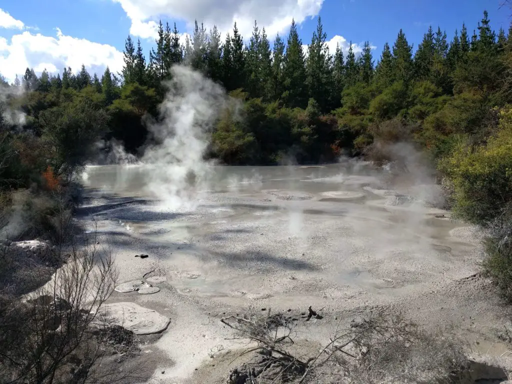 Two Days in Rotorua, New Zealand - Wai-O-Tapu Thermal Wonderland Mud Pool