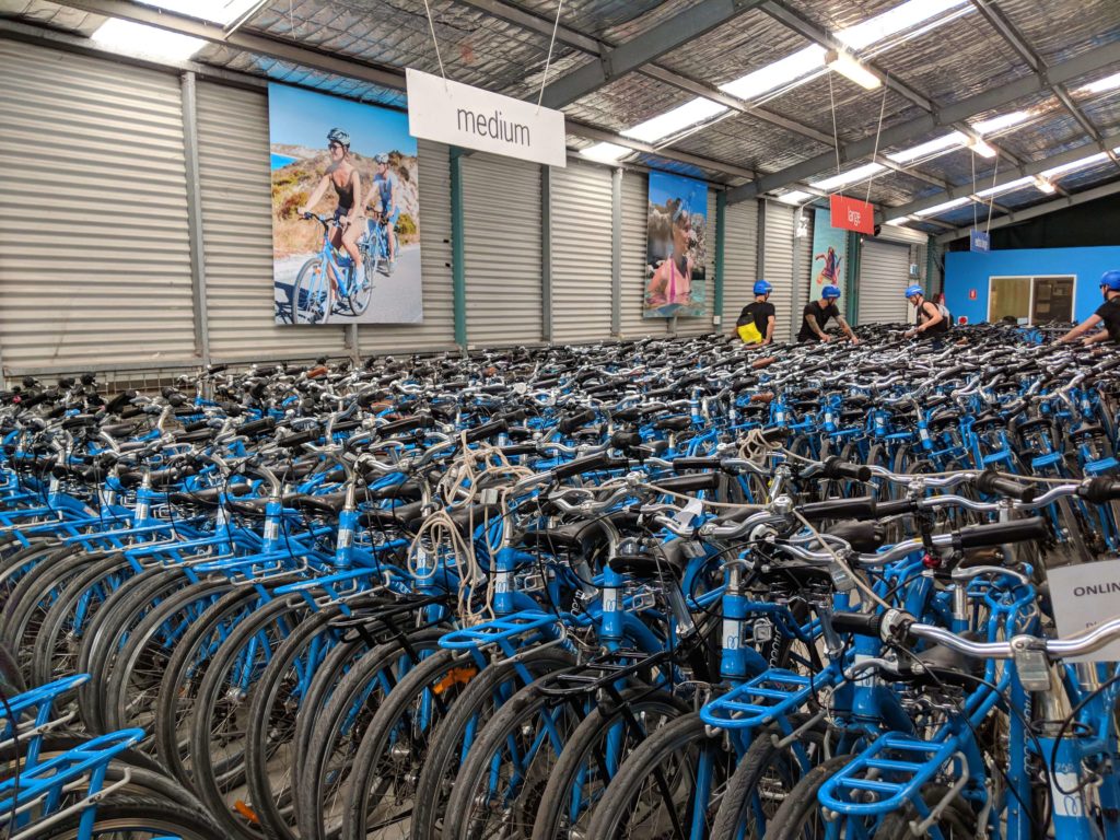Rows of blue bicycle for rent at Pedal and Flipper Bicycle Rental in Rottnest Island
