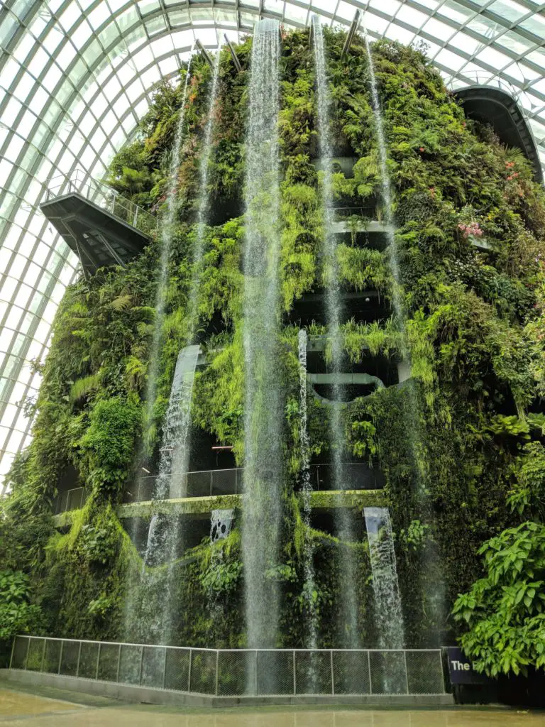 As you enter the Gardens By The Bay's Cloud Forest, you see a tall building with plants coming out of it and a waterfall.