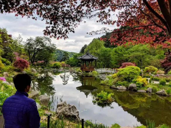 Pond Garden at Garden of Morning Calm, Gapyeong, South Korea