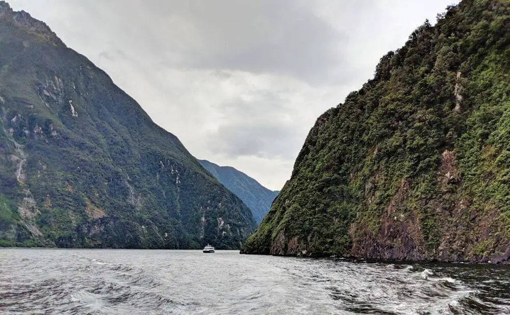 New Zealand Road Trip: Exploring Milford Sound on a cruise