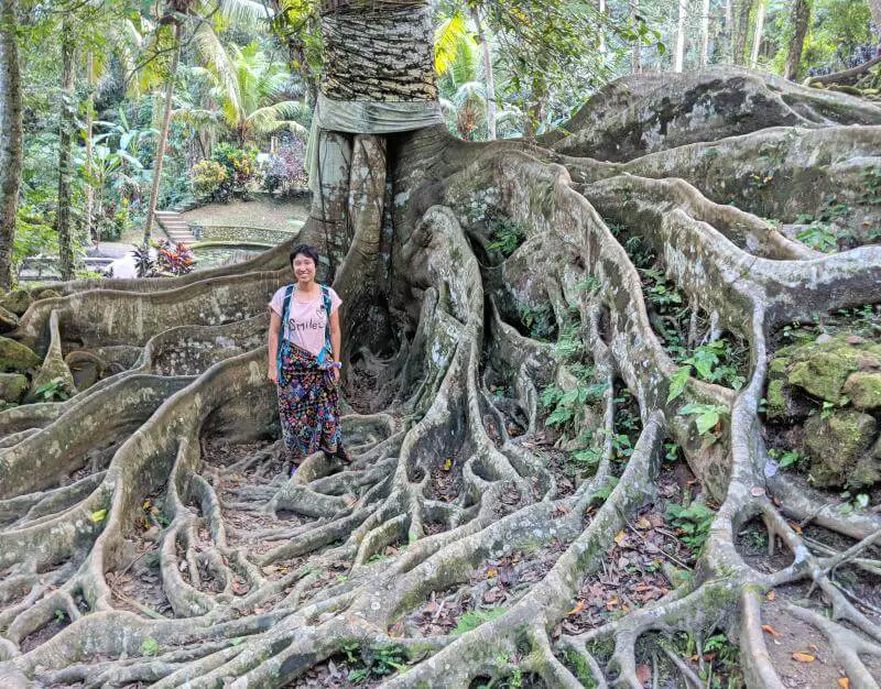 Goa Gajah Elephant Caves in Ubud, Bali, Indonesia