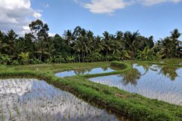 4 Days in East Java - An Awesome East Java Indonesia Itinerary