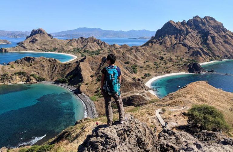 Finding Komodo Dragons - One Day at Komodo National Park