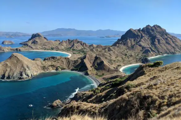 Finding Komodo Dragons - One Day at Komodo National Park