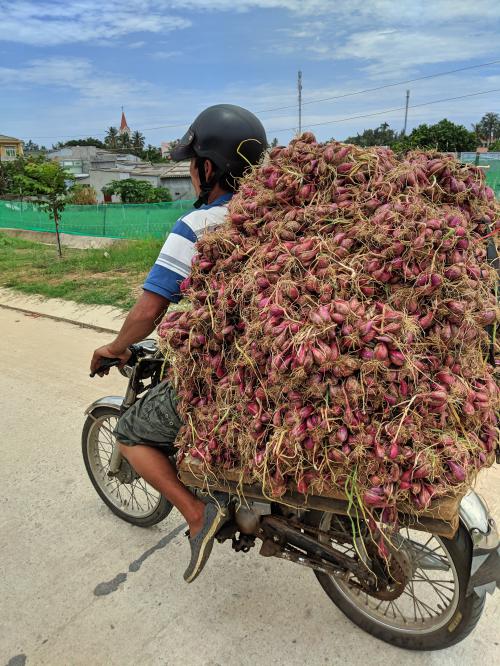 Onion delivery by motorbike on Ly Son Island, Vietnam
