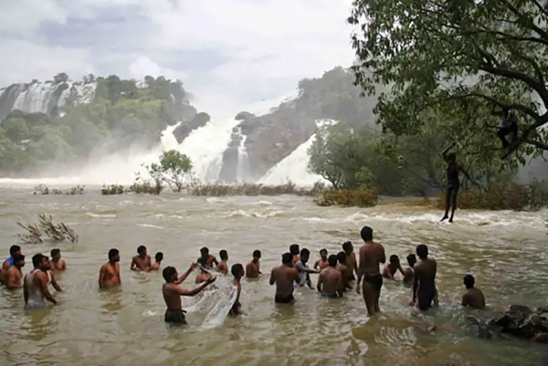 Shivanasamudra Falls, India