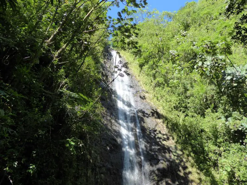 Manoa Falls, Hawaii, United States