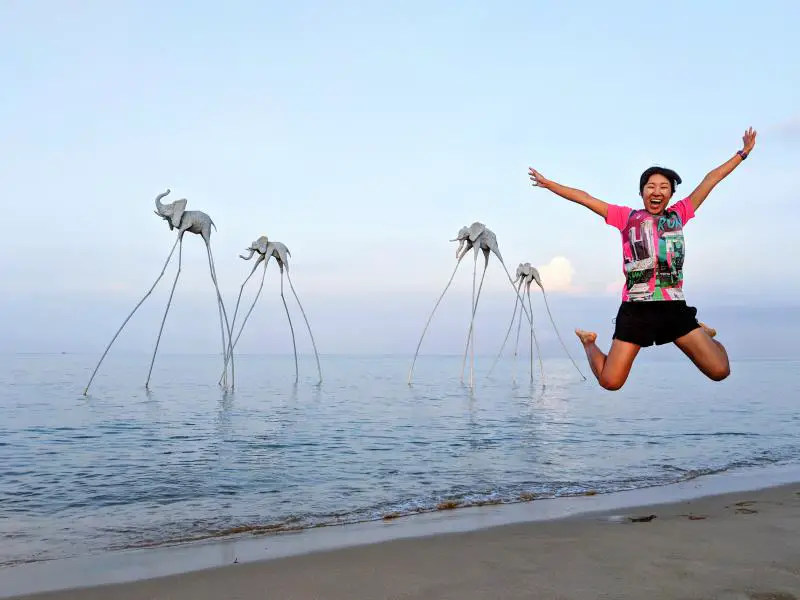 Long-legged elephants on Bai Truong Beach in Phu Quoc, Vietnam