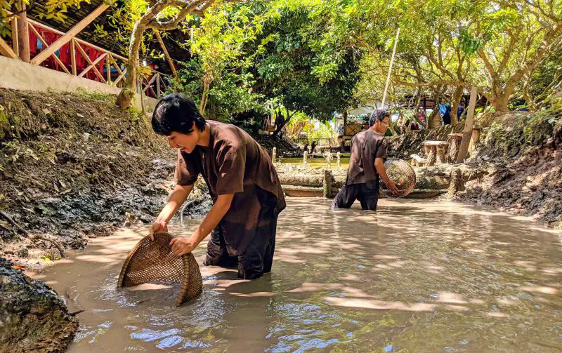 When you're in Ben Tre, you can try fishing for snakehead fish using baskets. It's quite challenging in the muddy waters.