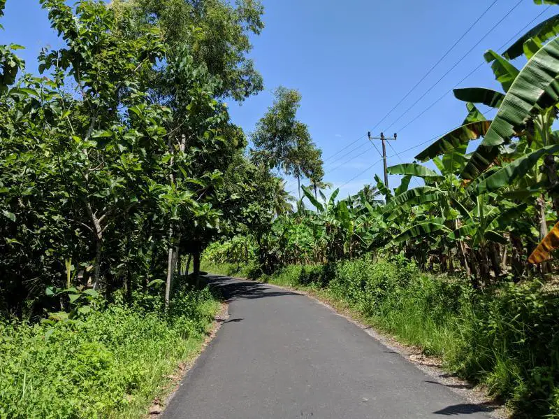 When you're in the main downtown harbor area of Nusa Penida, the roads are very smooth and flat.