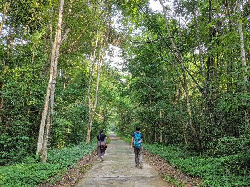 Walking in Cat Tien National Park, Vietnam with stunning trees surrounding us