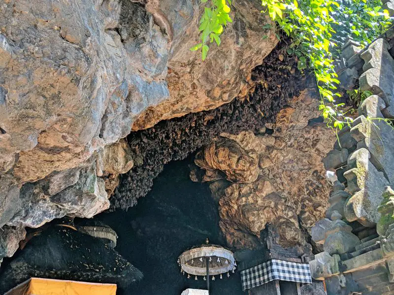 The entrance of the Pura Goa Lawah cave has hundreds of bats hanging upside down and also flying to catch insects. It's a unique attraction to visit in East Bali.