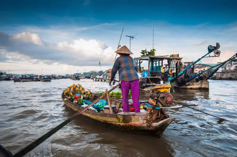 Woman selling pineapples rows a sampan along the Mekong Delta, Vietnam.