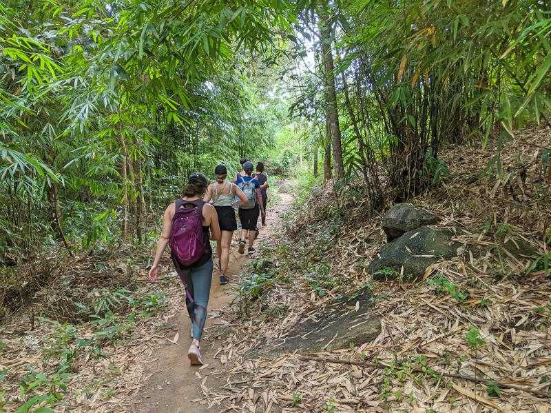 Group of women hiking in the forest area of Chua Chan Mountain