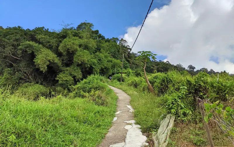 This is the single track trail along the Penang Hike Heritage Trail. You pass by houses and some gardens on the way to the Penang Hill peak.