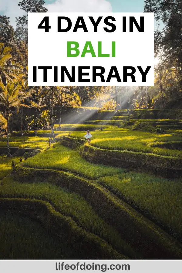 This is the best 4 days in Bali itinerary that you'll read! Post includes many visits to the rice patty fields (as seen in this photo).
