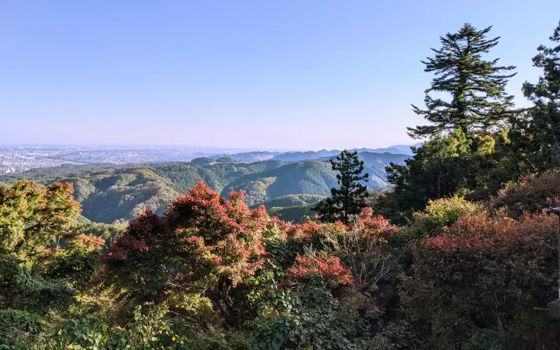 Gorgeous views of the trees and mountains at the Mount Takao summit. It's the perfect place to spend a day trip from Tokyo.