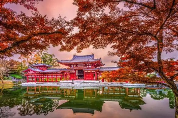 Byodoin Temple's Phoenix Hall is a gorgeous place to visit on your Uji day trip in Japan. During the fall season, the fall leaves complements the red architecture of the temple area.