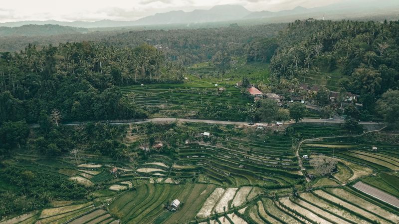 Overview of the rice paddy terraces in Sideman area of Bali