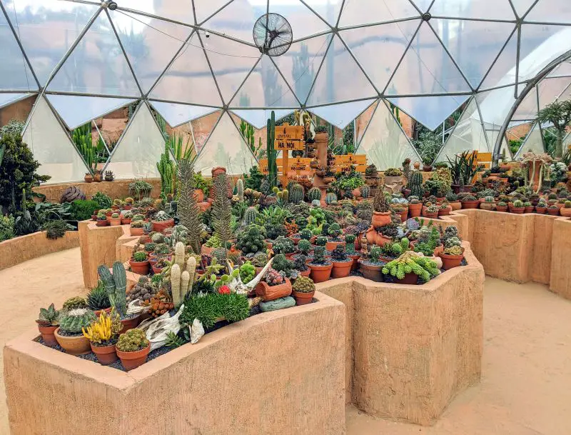 A garden of cacti in a geodesic dome at VinWonders Nha Trang, Vietnam
