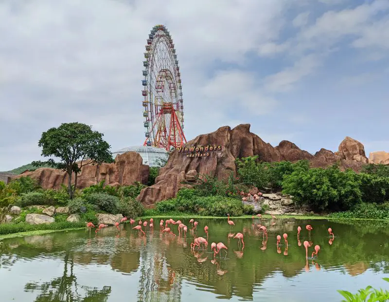 A lake with pink flamingos with the large red Ferris Wheel in the background of VinWonders Nha Trang