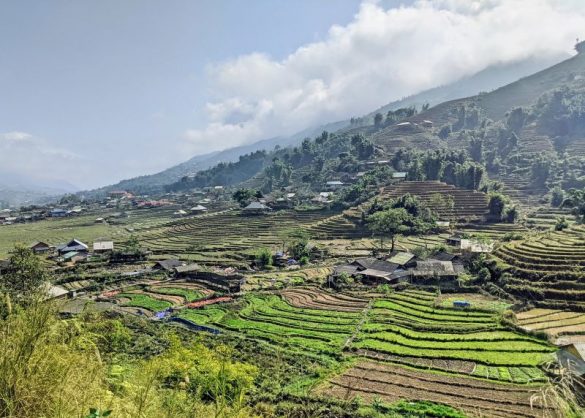 When trekking in Sapa in 2 days to Lao Chai and Ta Van villages, you'll see gorgeous green rice terraces and rice fields.