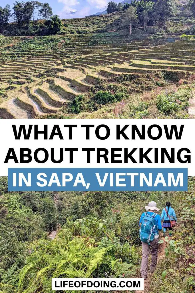 Sapa Trekking Guide - Top photo is of Sapa rice terraces and bottom photo is of two women trekking in the mountains of Sapa, Vietnam