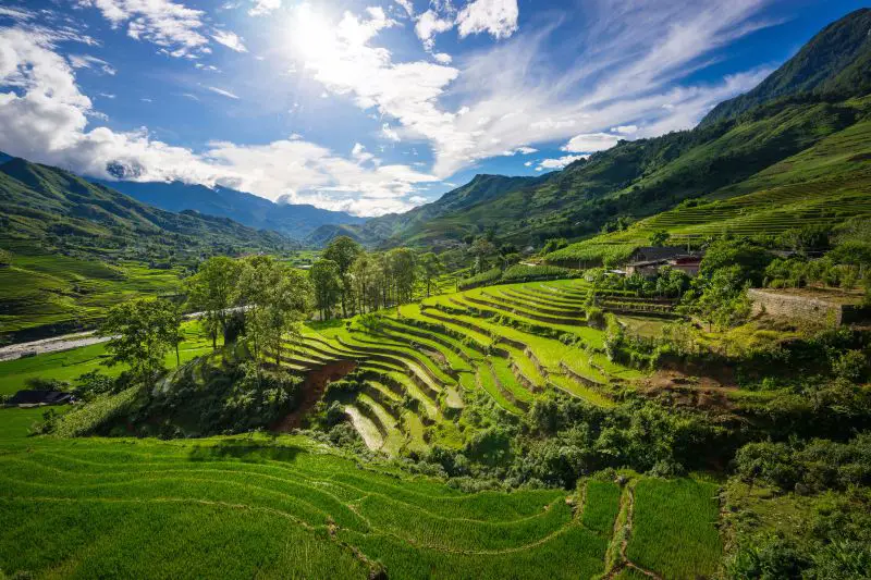 See green rice terraces during your 3 days in Sapa, Vietnam