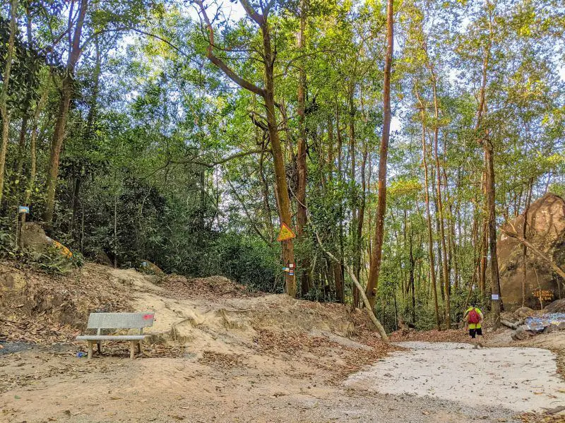 A bench and forest area that leads to the summit of Nui Dinh Mountain