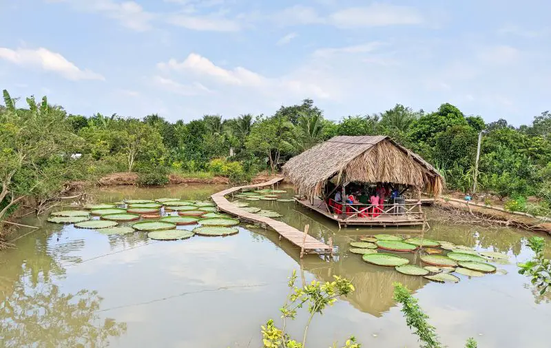 An outdoor eating area with straw roof and surrounded by a pond with lily pads in Can Tho, Vietnam, one of the weekend destinations from Ho Chi Minh City to explore