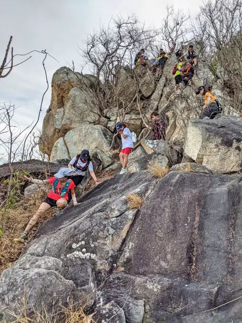 A dozen hikers descend down a steep rock and grabbing onto tree branches on the way down of Nui Lon Big Mountain hiking trail in Vung Tau, Vietnam