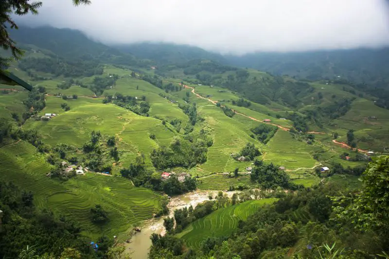 We're sharing top things to know before visiting Vietnam, such as seeing the beautiful green rice terraces of Sapa.