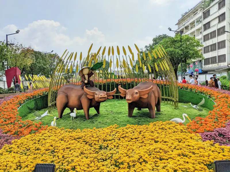 A Lunar New Year flower display with orange, yellow, and purple flowers and two oxen at Ho Chi Minh City, Vietnam