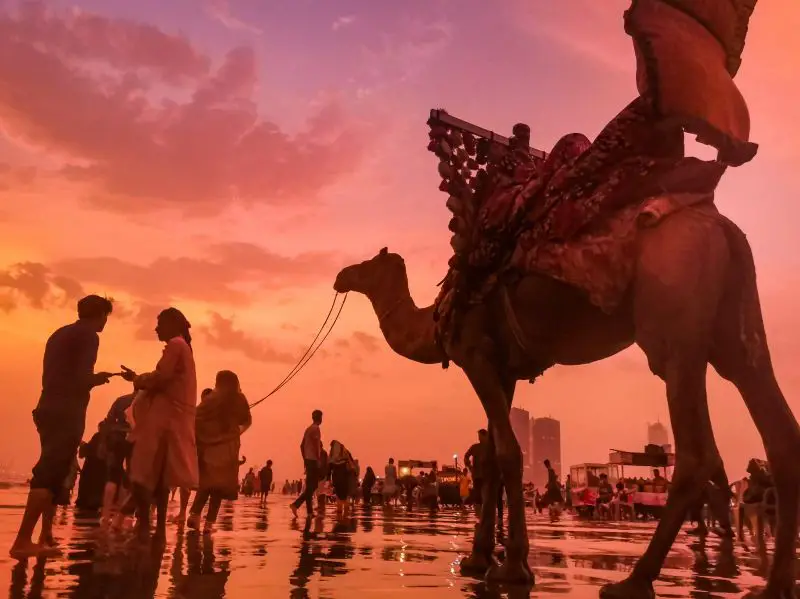 People walking in the shallow waters at sunset with pink and orange skies in Karachi, Pakistan