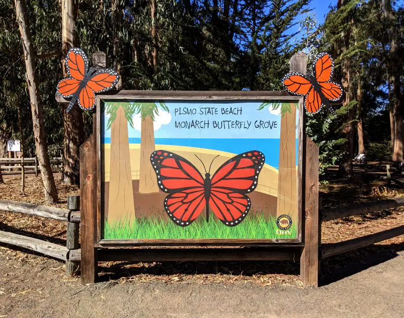 Pismo State Beach Monarch Butterfly Grove sign with butterflies